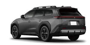 �g���^ bZ4x �c�[�����O XEAM17